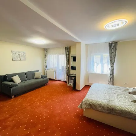 Pensiunea Sport 3*